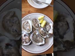 Dinnertime on the Coast with Salty Walt