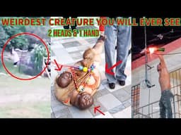 REAL MIND-BLOWING MYSTERIES and STRANGEST THINGS CAUGHT on CAMERA That We Can't Explain