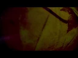 Alexander L - The Scars We Don't See (New Music Preview)