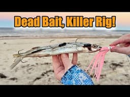 ✅ Rig Baits Like a PRO | Balloon Fishing Techniques