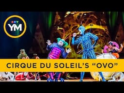 Behind the Scenes at Cirque du Soleil's "OVO" | Your Morning