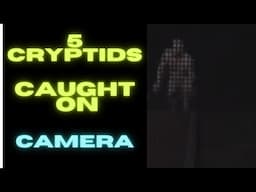 5 cryptids caught on camera