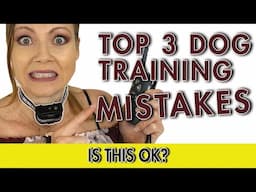 3 Biggest Training Mistakes with your Chihuahua