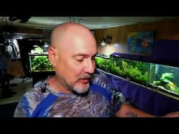 Friday Fish N Hits w/ Dan