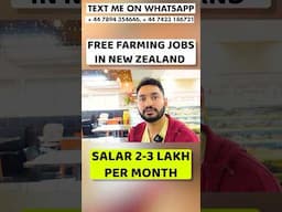 New Zealand work visa