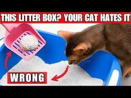 Your Cat Will Never Use The Litter Box If You Do This!