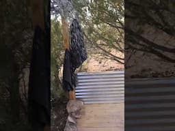 COUPLE BUILDS AMAZING OFF GRID OUTDOOR SHOWER and HOT TUB #shorts #diy #offgridsolar #outdoors