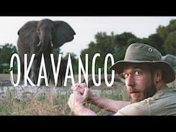 6 Days In  Africa - Okavango Delta Botswana
