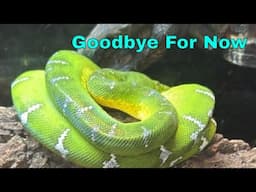 My Last Video... Until We Meet Again