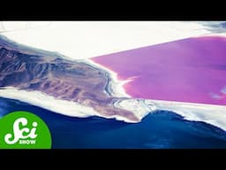 Why the Great Salt Lake is Two Completely Different Colors