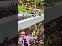 Starting seeds in the garden #gardendesign #vegetablegarden #plants #vegogarden #gardeninglife