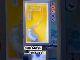 Time for a bath! #cats #secretlifeofpets #universalstudios
