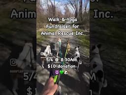 Fundraiser walk & outdoor yoga for rescue pups: https://flexiblewarrior.as.me