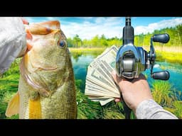 Fishing A SPRING Bass Tournament SOLO - Can I Win?