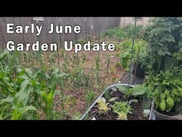 Early June Gardening Update - The Garden is Thriving!