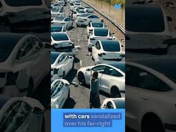 This is Why Tesla Sales are Crashing📉 #tesla #elonmusk #viral