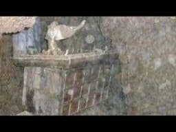 They Finally Found The Ark of The Covenant