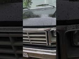 fresh paint after the rain.