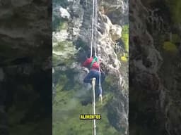 ESTE Hombre lo Arriesga TODO por Conseguir Miel