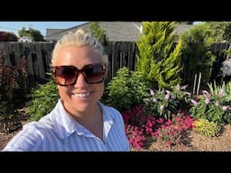Pugster Amethyst Buddleia, Planting Propagations and More Dahlias!