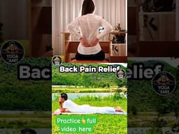 Back Pain Relief🔥 #backpainrelief #yogalife