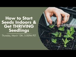 How to Start Seeds Indoors & Get THRIVING Seedlings!
