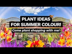 Summer Filler Plant Shopping & Planting My New Raised Bed