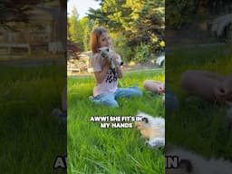 😍CUTE 😘Cuteness 🥰CUDDLES