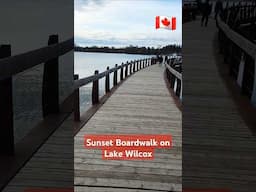 Sunset Boardwalk on Lake Wilcox 🌇