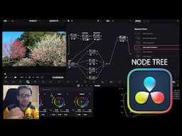 DaVince Resolve - Color Space Transform for newbie