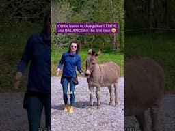 Cerise learning to Change her Stride and Balance #horsetrainingtips #horsetraining