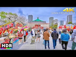 Japan - Tokyo Ueno Sakura Walk from Yanaka Ginza • 4K HDR