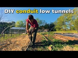 We Have to Protect the BEANS! | Making DIY Low Tunnels (Calico Cow Acres Homestead)