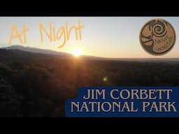 Jim Corbett National Park at night | Sunset and Forest Night sounds | Nature Connection