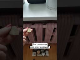 Разместите лавровый лист на батарее