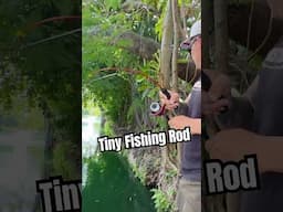 Tiny Fishing Rod Catching Big Fish