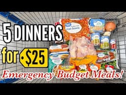 Make 5 EASY Dinners for $25! | Tasty Budget Meals & Walmart Grocery Haul | Julia Pacheco