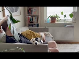 A simple city life with a dog / vlog Oslo, Norway