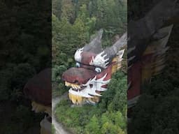 🐲Discovered 9 abandoned dragons in the mountains😮