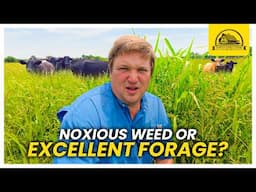 Managing The Most Dangerous Weed on the Farm… or the Most Valuable?