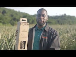 ✨ Discover the World’s Rarest Pineapple: Elefante Green Gold™ from Ghana 🍍💚