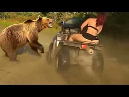 Wildest Off-Road Fails & Epic 4x4 Wins – You Have to See This!
