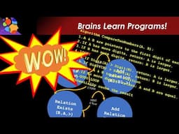 AI vs Brain: Brains Learn Algorithms—AI Still Can’t (But Should)