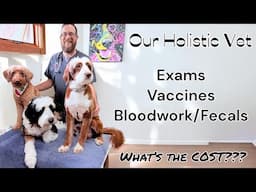 Taking 3 Of Our Breeding Dogs To Our Holistic Vet And Explaining What It Cost!