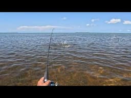 Solo Skiff Beach Launch Wheels/Tires + Solo Slaying The Fish.  Solo Skiff #12.