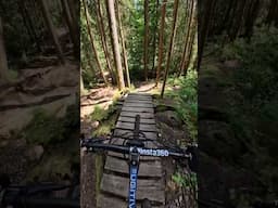 Testing Hayes Dominion Brakes on the North Shore