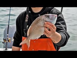 How Much Money Can You Make Fishing? Commercial Fisherman Day in the Life