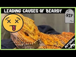 The Leading Causes of Bearded Dragon Mortality!