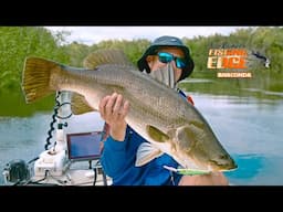 Big rain = BIG fish: run off Barramundi fishing in the Northern Territory