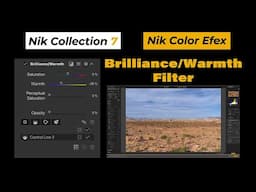 Mastering Perceptual Saturation & Warmth in Nik Color Efex!
